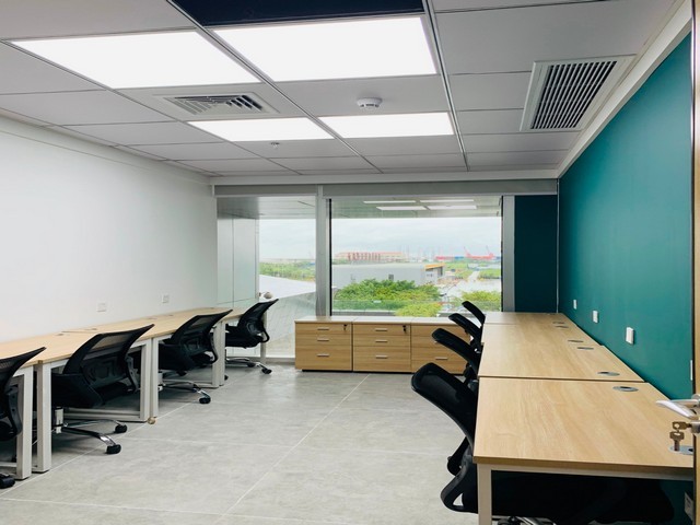 驻马店奥尼尔蓝莓苗批发价格